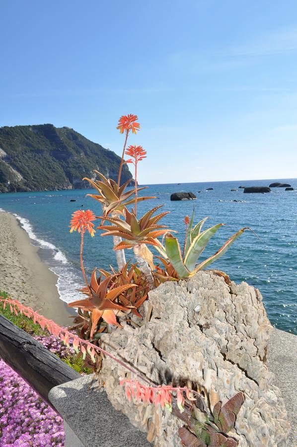 Bed and Breakfast La Citarea Forio  Екстер'єр фото
